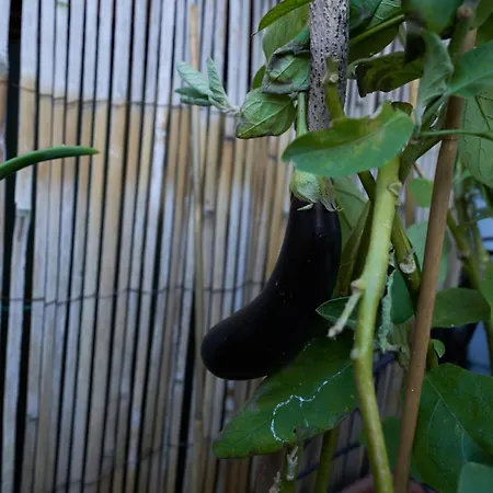 Attico Con Terrazzo - - Duomo 10min 아파트